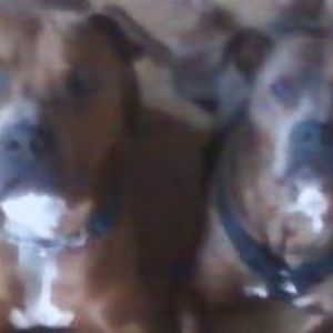 Meet your Posher, Jeannine